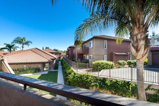 A row of houses with a palm tree in front.