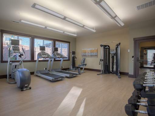 A gym with treadmills, elliptical machines, and dumbbells. at Mill Creek Meadows Apartments, Mill Creek, WA