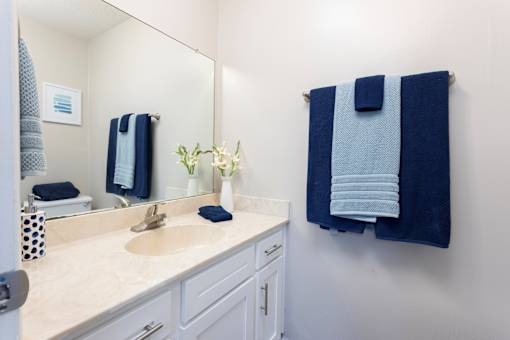 Bathroom at Oaks at Victory Apartments, Savannah, Georgia