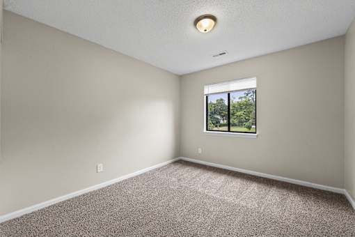 A room with a carpeted floor and a window showing trees outside.