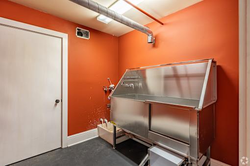 A small kitchen with orange walls and a stainless steel stove top oven.