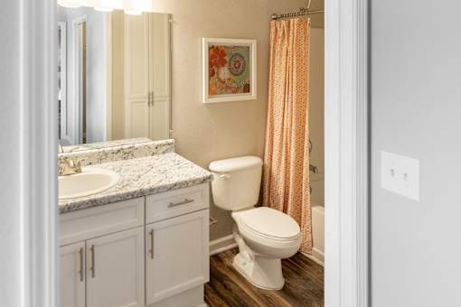 A bathroom with a toilet, sink, and shower curtain.