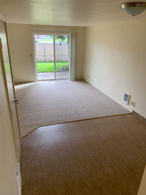 A room with a carpeted floor and a sliding glass door.