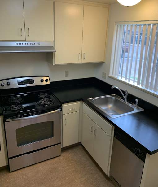 A kitchen with a stove, sink, and cabinets.