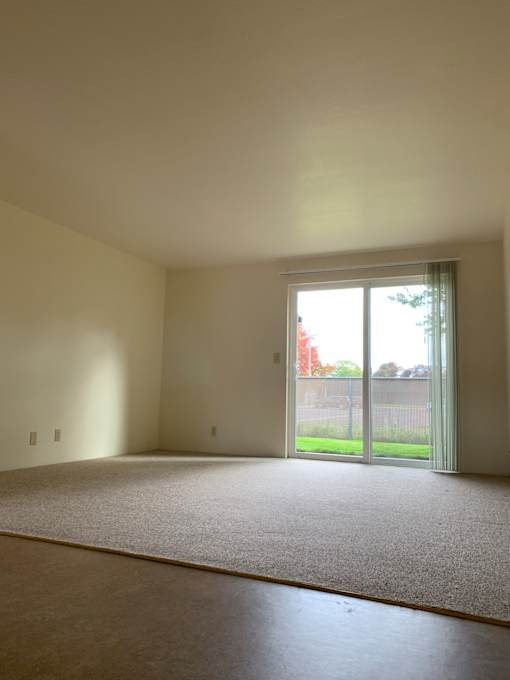 A room with a carpet floor and a sliding glass door leading to a backyard.