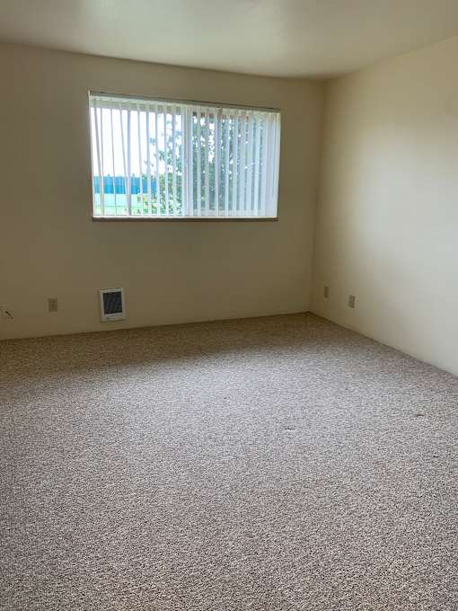 A room with a window and a carpet on the floor.