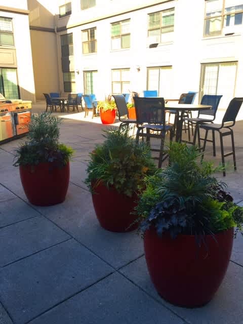 A patio with chairs and plants.