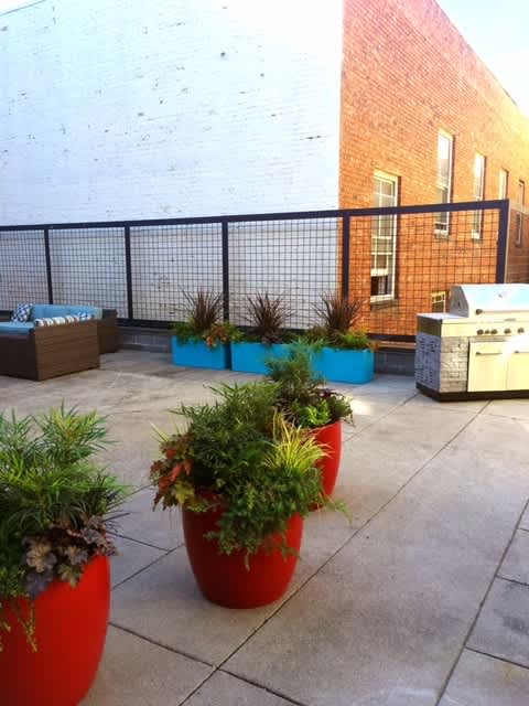A patio with a black fence and red planters.