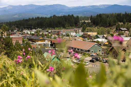 A small town with mountains in the background and a field of flowers in the foreground.