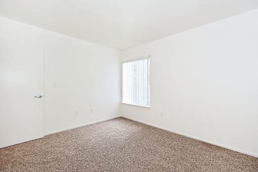 A room with a carpeted floor and a window with blinds.
