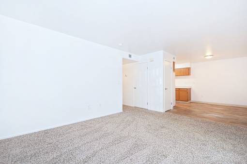 A room with a white wall and a carpeted floor.