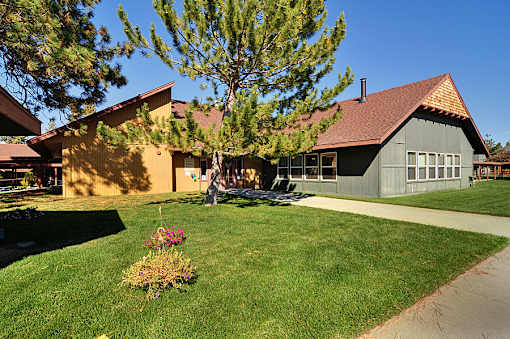 A house with a green lawn and a tree in front.