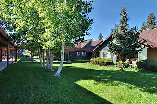 A house with a green lawn and trees in front.