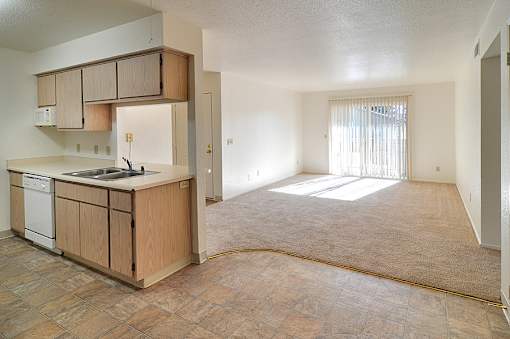 A kitchen with a sink and a window.