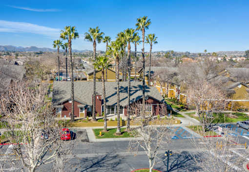 A residential area with houses and palm trees.