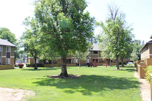 A tree in a grassy area in front of a building.