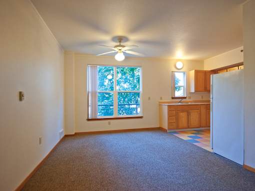 A room with a ceiling fan and a window with trees visible outside.