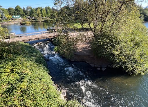 A small river flows under a bridge in a lush green area.