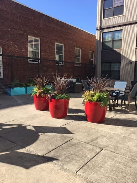 Three red pots with plants in them are on a patio.