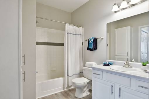 Bathroom With Bathtub at Braxton Woods Lake, Greenville, SC, 29607