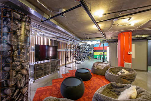 A room with a red carpet and a bicycle rack on the wall.