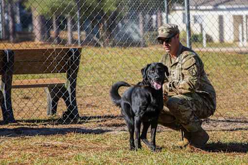 A man in military uniform sits on the ground with his black dog.