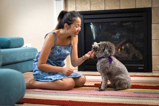 A woman in a blue dress is sitting on the floor petting a dog in front of a fireplace.