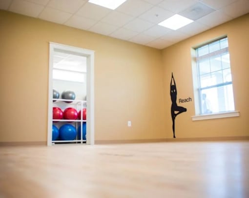 A yoga room with a shelf of exercise balls and a yoga mat on the wall.