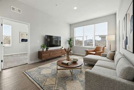 A living room with a grey sofa, a wooden coffee table, and a television.