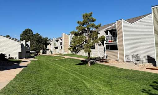 A green space with a tree surrounded by apartment buildings.