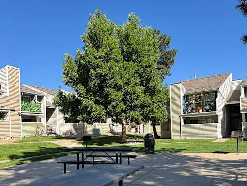 A picnic area surrounded by trees and a green lawn.