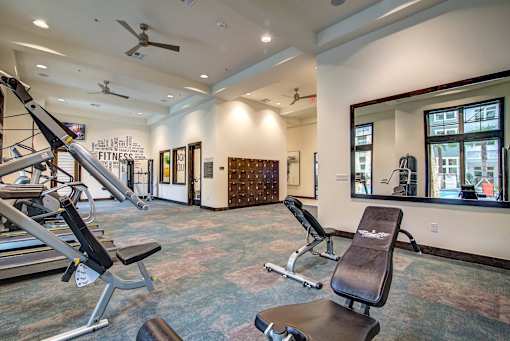 A gym with a mirror, treadmill, and weights.