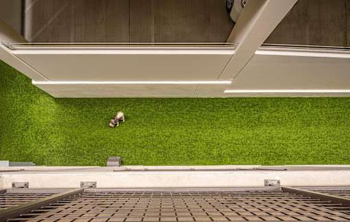 A person is sitting on the grass under a bridge.