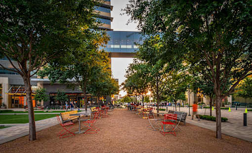 A park with benches and trees in front of a building.