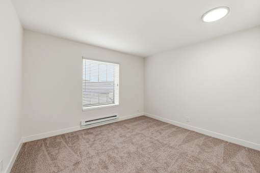A room with a window and a carpeted floor.
