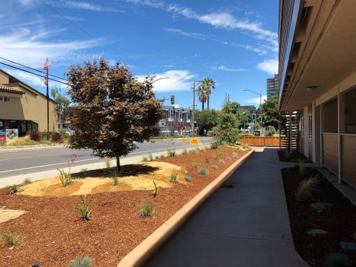 an empty sidewalk next to a building with a street and a tree