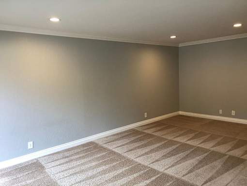A room with a carpeted floor and a wall with switches.