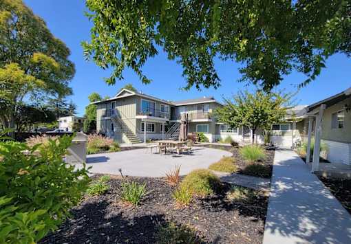 A sunny day at a residential area with a house and a garden.