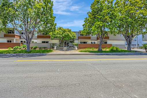 A street view of a residential area with houses and trees.