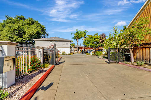 A street view of a residential area with houses and trees.