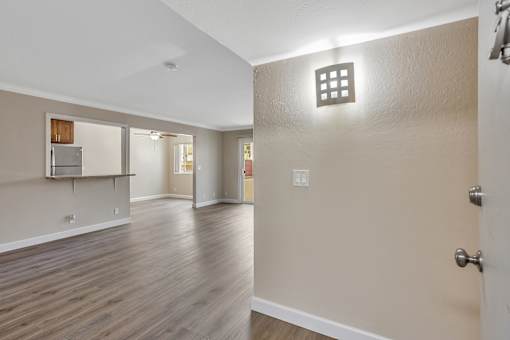 A room with a wooden floor and a white door.