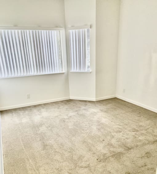 an empty room with two windows and a carpeted floor