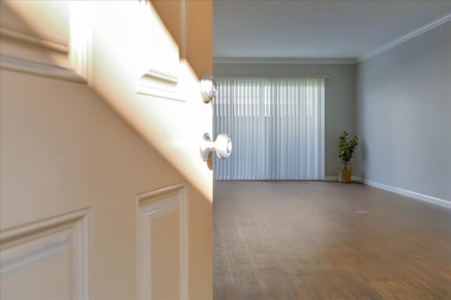 A room with a window covered by white blinds and a potted plant.