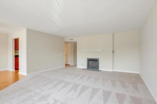 A large, empty room with a fireplace and a rug on the floor.