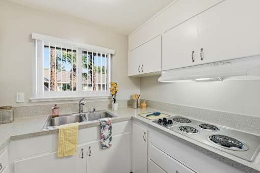 A kitchen with white cabinets and a window overlooking a palm tree.