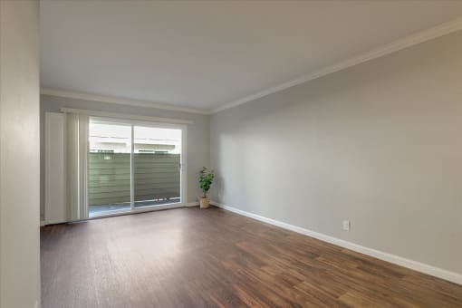 A room with a plant and sliding glass doors.