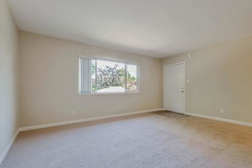 Empty room with a window and carpeted floor.