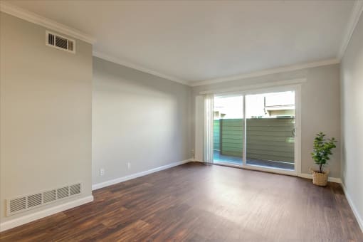 A room with a window and a plant.