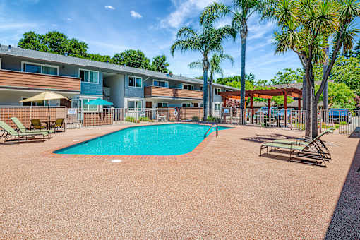 A swimming pool surrounded by palm trees and lounge chairs.