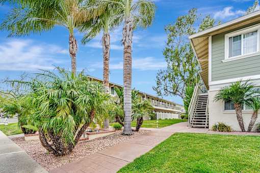 A building with a staircase leading to the entrance is surrounded by palm trees.